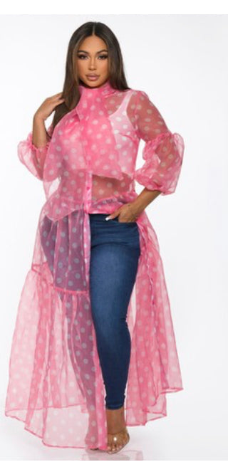 Pretty Women Sheer Pok A Dot Dress