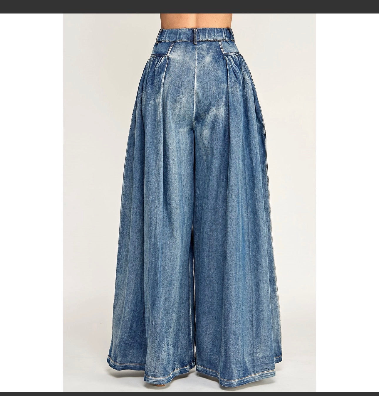 Whitney Pleated Wide Leg Denim Pants