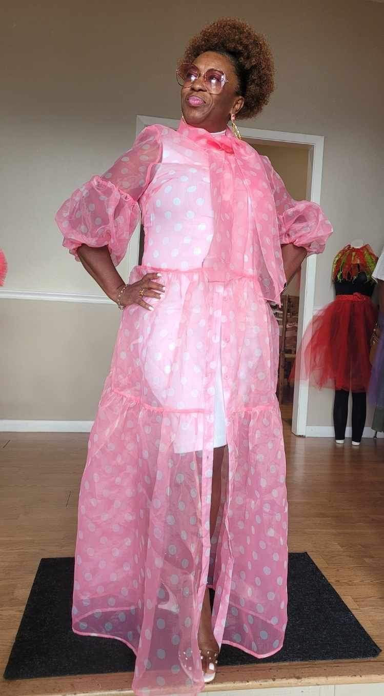 Pretty Women Sheer Pok A Dot Dress