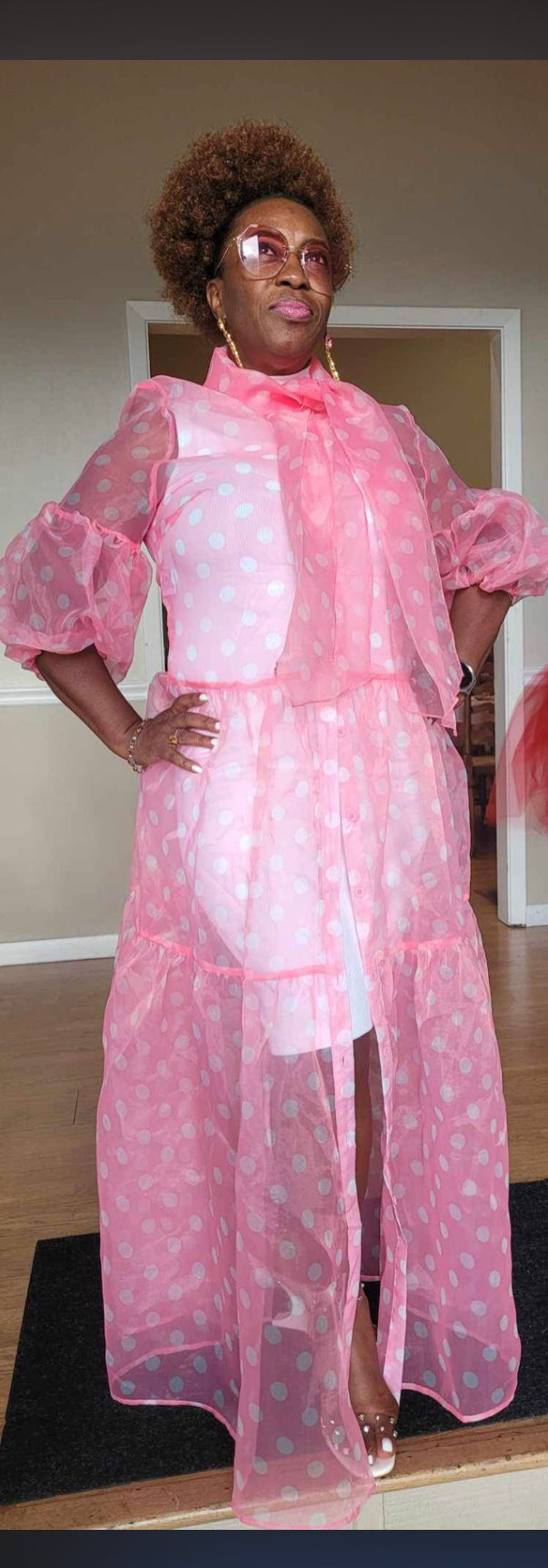 Pretty Women Sheer Pok A Dot Dress