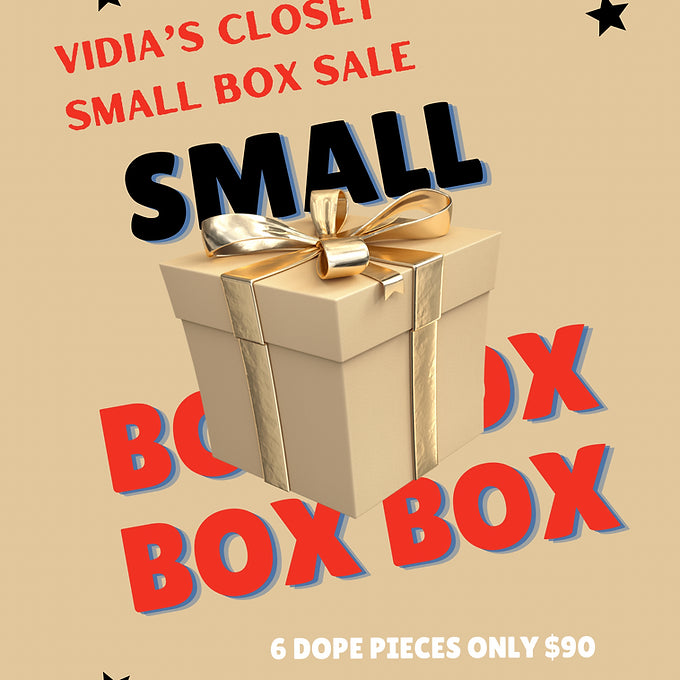 Vidia's Closet Small Box